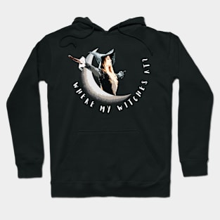 Where my witches at? Hoodie